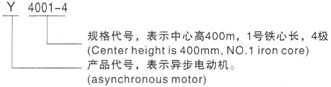 西安泰富西玛Y系列(H355-1000)高压ZZJ-812三相异步电机型号说明